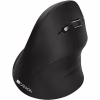 Мишка Canyon CNS-CMSW16B Wireless Black (CNS-CMSW16B) - Image 1
