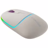 Мишка Canyon MW-22 Dual Band RGB Wireless Rice (CNS-CMSW22RC) - Image 1