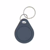 Брелок з чіпом Trinix P-key RW gray - Image 1