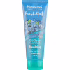 Гель для вмивання Himalaya Herbals Fresh Start з чорницею 100 мл (6291107221595) - Image 1