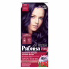 Оттеночный бальзам Acme Color Hair Care Ton Oil Mask 201 - Аметист (4820197009398) - Image 1