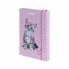 Папка для тетрадей Kite В5 на резинке Studio Pets (SP25-210) - Image 1