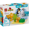 Конструктор LEGO DUPLO Town Сімейства диких тварин: Пінгвіни та Леви (10442) - Image 1