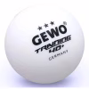 М'ячик для настільного теніса Gewo Trainingsball 40+ 6 шт (85921200) (931058) - Image 1