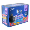 Вологий корм для кішок Brit Premium Cat сімейна тарілка асорті 4 смаки 100 г х 12 шт (8595602506255) - Image 1