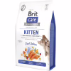 Сухий корм для кішок Brit Care Cat GF Kitten Gentle Digestion Strong Immunity з лососем 2 кг (8595602565047) - Image 1