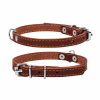 Нашийник для тварин Collar одинарний Ш 14 мм Д 27-35 см коричневий (00036) - Image 1