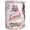 Ласощі для котів Brit Care Superfruits Lamb 100 г - ягня (8595602555697) - Image 1