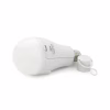 Лампочка Voltronic YT39393 - Image 1