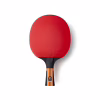 Ракетка для настільного тенісу Butterfly Timo Boll Comfort FL (6110170005) (931845) - Image 1