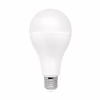 Лампочка Delux BL 80 20 Вт 6500K (90020554) - Image 1