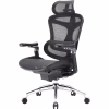 Офісне крісло Sihoo DORO C300 Pro Mesh Black (DORO-C300-PRO-M101) - Image 1