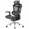 Офісне крісло Sihoo DORO C300 Pro Mesh Black (DORO-C300-PRO-M101) - Image 1