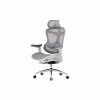 Офисное кресло Sihoo DORO C300L Mesh White (DORO-C300L-A3-102) - Image 1