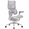 Офісне крісло Sihoo DORO S300 Mesh Light Grey (S300-M202) - Image 1