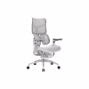 Офісне крісло Sihoo DORO S300 Mesh Light Grey (S300-M202) - Image 1