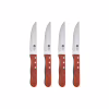 Набор ножей Bergner Bbq lovers для стейків, 4 предмети (BG-40201-MM) - Image 1