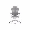 Офісне крісло Sihoo DORO C300 Pro Mesh White (DORO-C300-PRO-M102) - Image 1