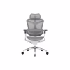 Офисное кресло Sihoo DORO C300 Pro Mesh White (DORO-C300-PRO-M102) - Image 1