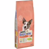 Сухой корм для собак Purina Dog Chow Active Adult со вкусом курицы 14 кг (7613034487933) - Image 1