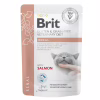 Влажный корм для кошек Brit GF VetDiets Renal с лососем 85 г (8595602566709) - Image 1