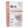 Вологий корм для кішок Brit GF VetDiets Renal з лососем 85 г (8595602566709) - Image 1