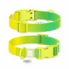 Нашийник для тварин WAUDOG Nylon Recycled з QR паспортом, градієнт, M салатовий (47015) - Image 1