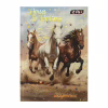 Дневник школьный ZiBi NIGHT HORSE В5, 40 листов, твердая обложка (ZB.13765-01) - Image 1