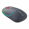 Мишка Canyon MW-22 Dual Band RGB Wireless Dark Grey (CNS-CMSW22DG) - Image 2