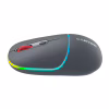 Мишка Canyon MW-22 Dual Band RGB Wireless Dark Grey (CNS-CMSW22DG) - Image 4