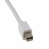 Перехідник Mini DisplayPort to DVI 0.15m Extradigital (KBD1677) - Image 3