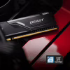 Модуль памяти для компьютера DDR4 16GB (2x8GB) 3200 MHz Fury Beast Black Kingston Fury (ex.HyperX) (KF432C16BBK2/16) - Image 10