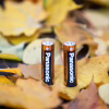 Батарейка Panasonic LR06 Alkaline Power * 20 (LR6REB/20BW) - Image 2