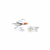 Патч-корд 2м S/FTP Cat 6A CU LSZH black Cablexpert (PP6A-LSZHCU-BK-2M) - Image 3