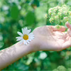 Гігієнічні прокладки Naturella Ultra Normal 10 шт (4015400125037) - Image 6