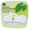Гігієнічні прокладки Naturella Classic Maxi 16 шт (4015400318026) - Image 3