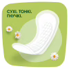 Ежедневные прокладки Naturella Camomile Light 100 шт. (8001090603807) - Image 3