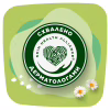 Щоденні прокладки Naturella Camomile Light 100 шт. (8001090603807) - Image 7