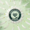 Щоденні прокладки Naturella Camomile Light 52 шт. (8001090604040) - Image 8