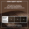Відтінковий бальзам Syoss Color Glow Cool Brunette - Холодний Каштановий 100 мл (9000101679427) - Image 7