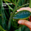 Шампунь Herbal Essences Зволоження Алое 350 мл (8700216211048) - Image 2