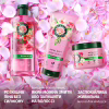Кондиционер для волос Herbal Essences Аромат розы 250 мл (8700216211024) - Image 4