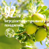 Гель для душу Le Petit Marseillais БІО Арганова олія та Ши 250 мл (3574661711553) - Image 5