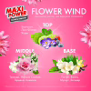 Капсули для прання Maxi Power Flower Wind 11 шт. (4823098414988) - Image 2