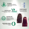 Фарба для волосся Acme Color Beauty Phyto 855 - Вогняно-червоний (4823115501912) - Image 4