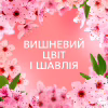 Кондиционер для белья Lenor Вишневый цвет и шалфей 1.239 л (8700216723602) - Image 6