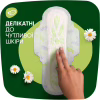 Гігієнічні прокладки Naturella Ultra Night Plus 24 шт. (8700216882378) - Image 6