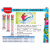 Линейка Maped STUDY UNBREAKABLE, 15см (MP.245310) - Image 3