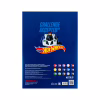 Цветная бумага Kite А4 двухсторонняя Hot Wheels 15л/15 цв (HW24-250) - Image 4