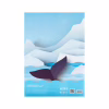Білий картон Kite A4 10 аркушів (K24-1254) - Image 7